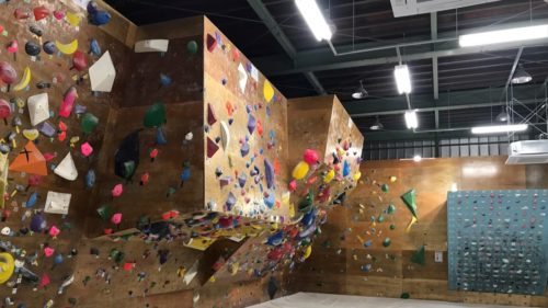 埼玉県のクライミング施設「クライミングジム Penguin（ペンギン）」